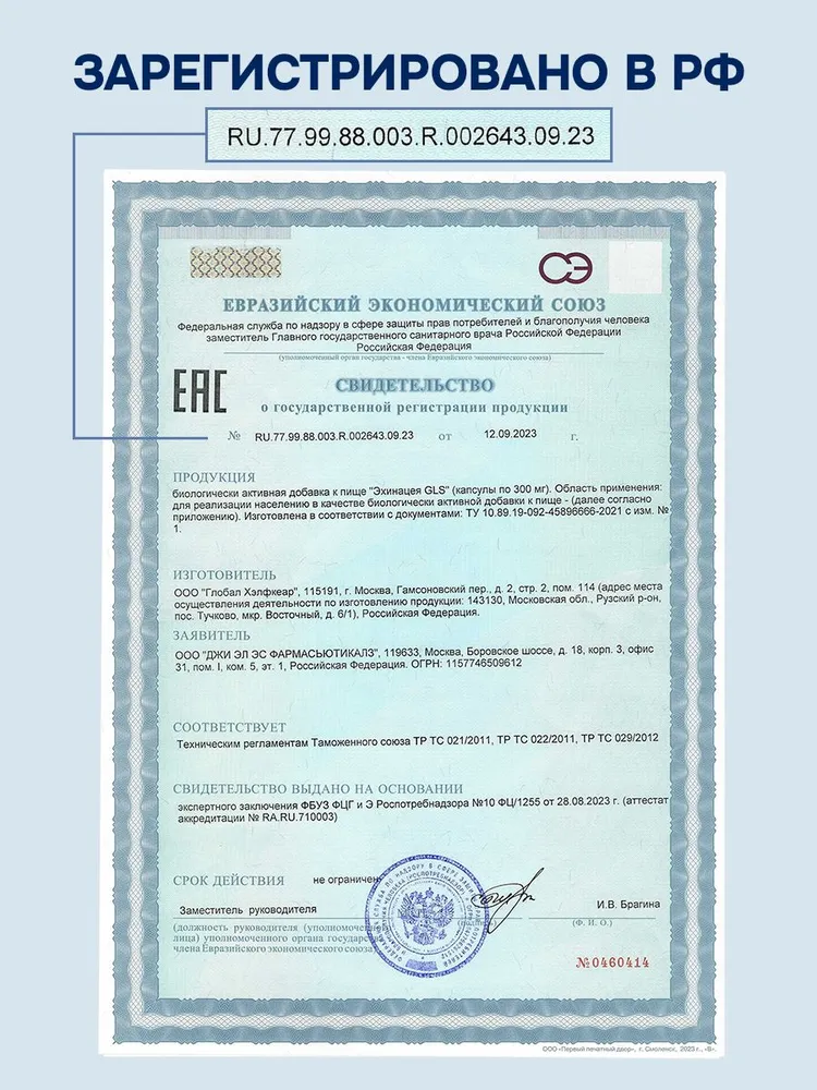 GLS Pharmaceuticals Эхинацея (экстракт травы эхинацеи) 100 мг, для иммунитета, 60 капсул