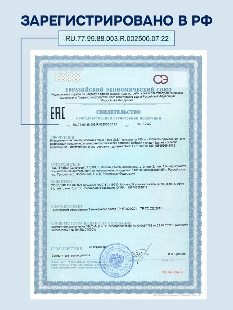 GLS Pharmaceuticals Чага экстракт и бета каротин, для желудочно-кишечного тракта и детокса, 60 капсул